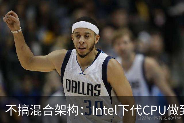 不搞混合架构：Intel下代CPU做到16个纯大核！