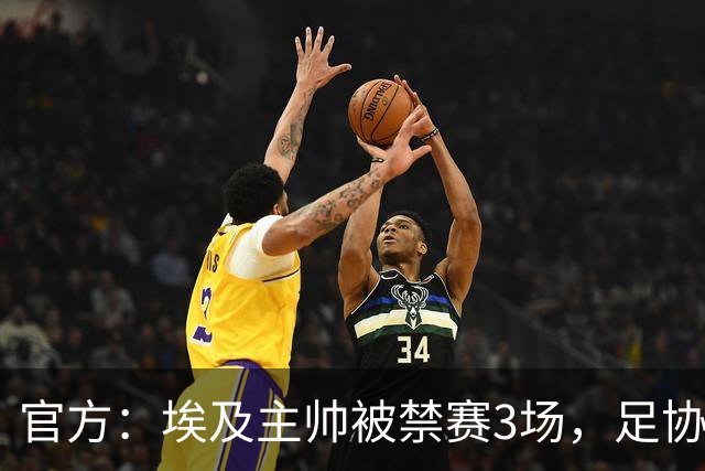 官方：埃及主帅被禁赛3场，足协准备上诉