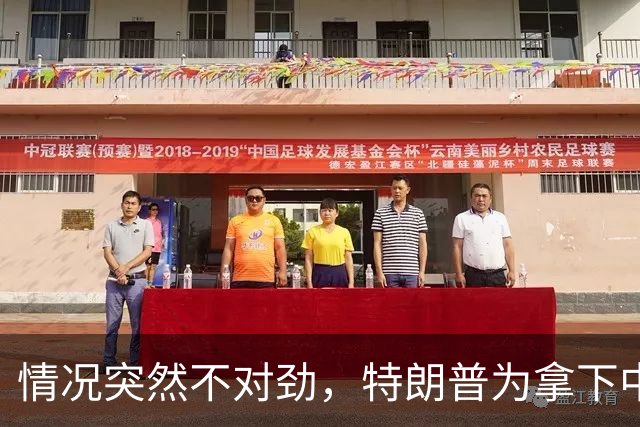情况突然不对劲，特朗普为拿下中期选举，要把国防部长“献祭”？
