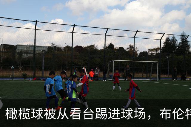 橄榄球被从看台踢进球场，布伦特福德报警称行为危险