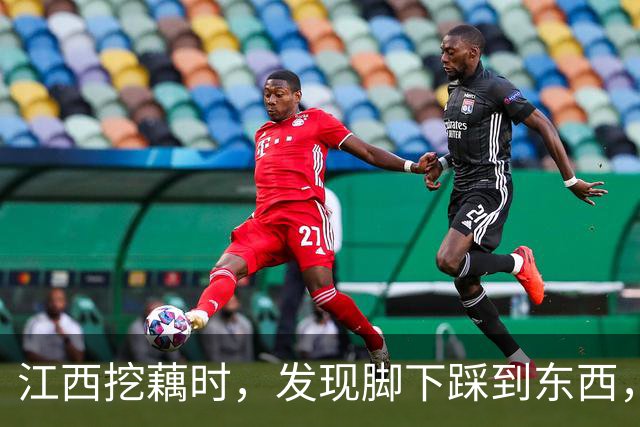江西挖藕时，发现脚下踩到东西，众人合力将其挖出后全都傻眼