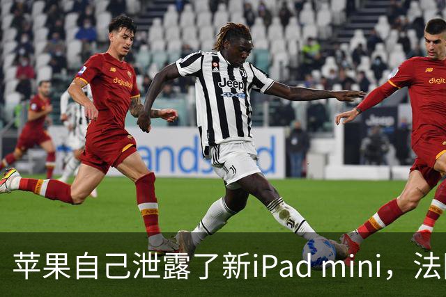 苹果自己泄露了新iPad mini，法国官网先露了馅